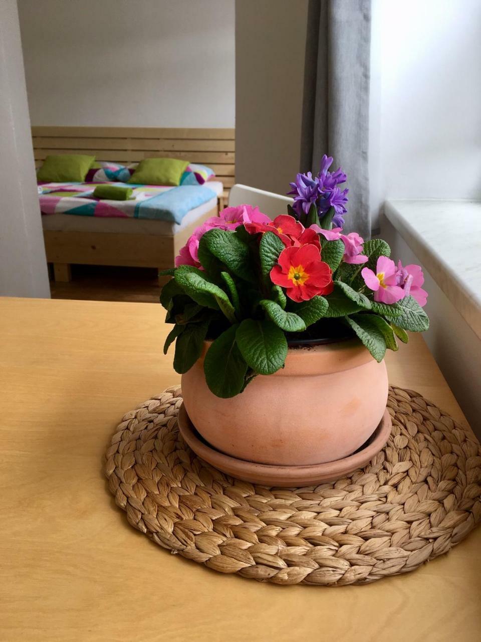 Apartmany A Ubytovani Mlynice Litovel Extérieur photo